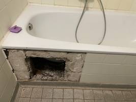 Schimmel in Wohnheimen: Studierendenwerk entschuldigt sich – und muss sich vor Minister rechtfertigen